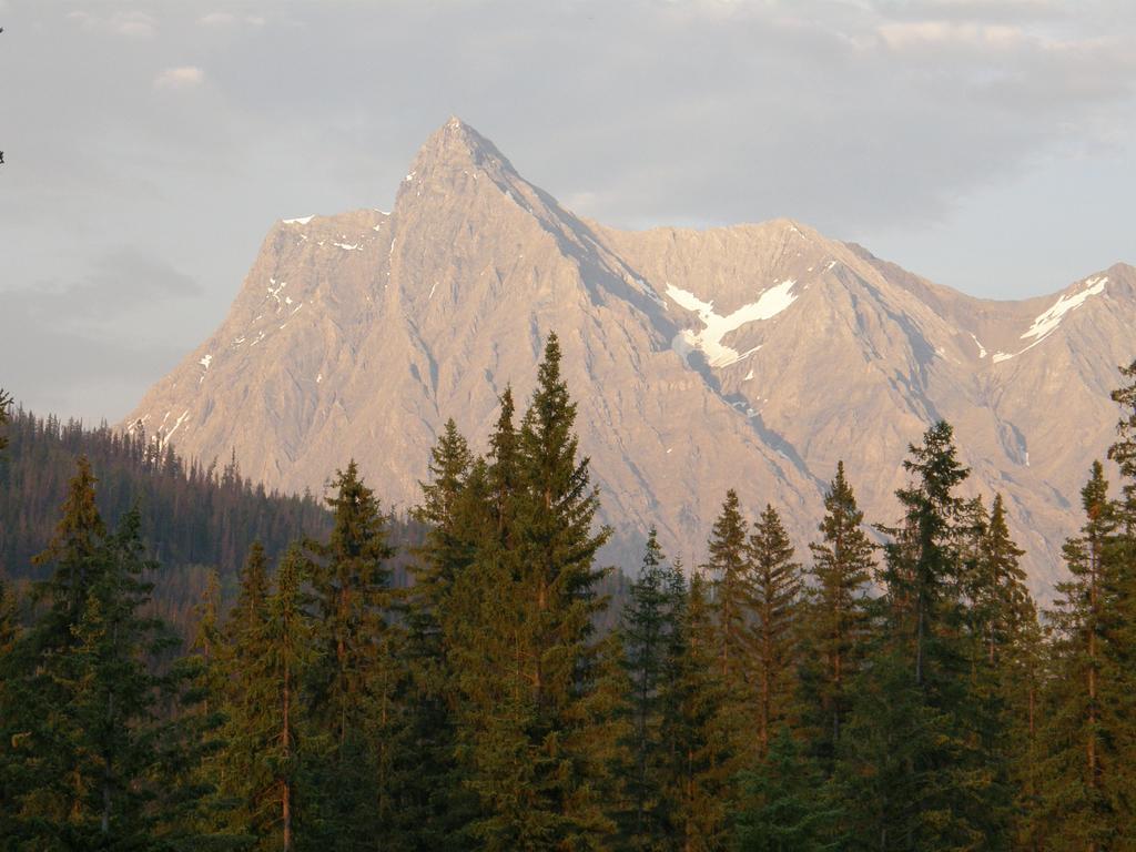 Вилла Yoho Chalets Голден Экстерьер фото