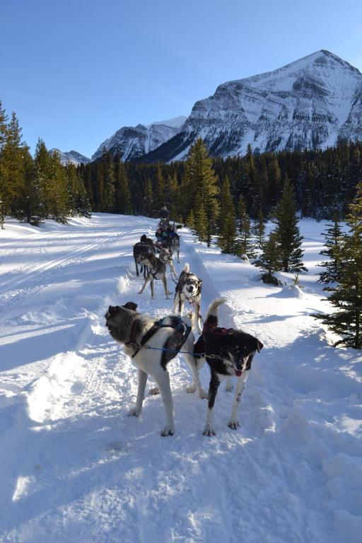 Вилла Yoho Chalets Голден Экстерьер фото